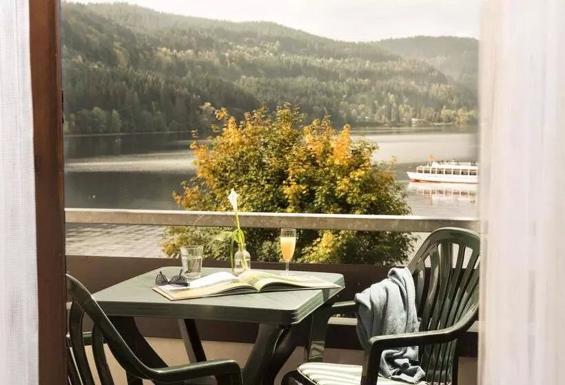 スーペリアシングルルーム, Maritim Titisee