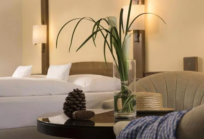 クラシックルーム, Maritim Titisee