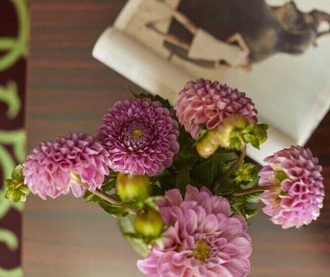 اتاق کلاس بیزنس, Metropol By Maier Privathotels