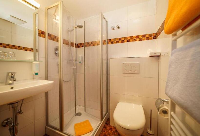 Номер Стандарт Индивидуальный, Parkhotel Sonnenhof