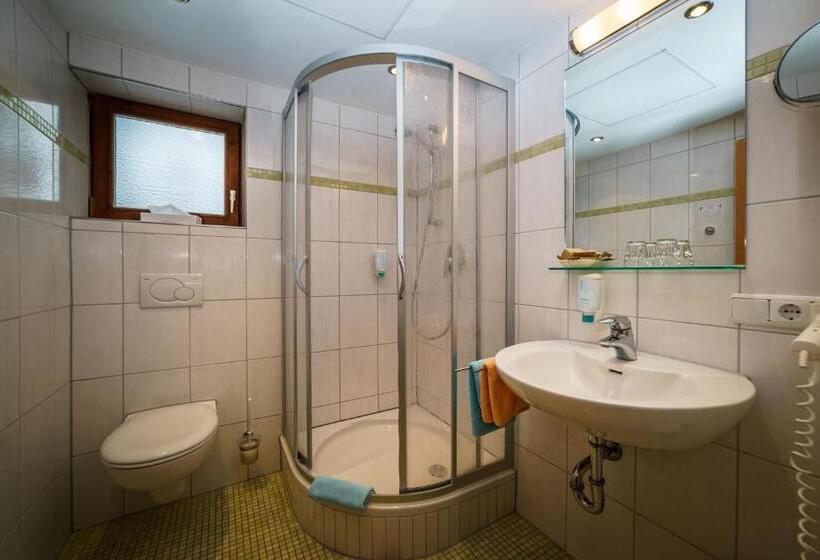 小型套房, Parkhotel Sonnenhof