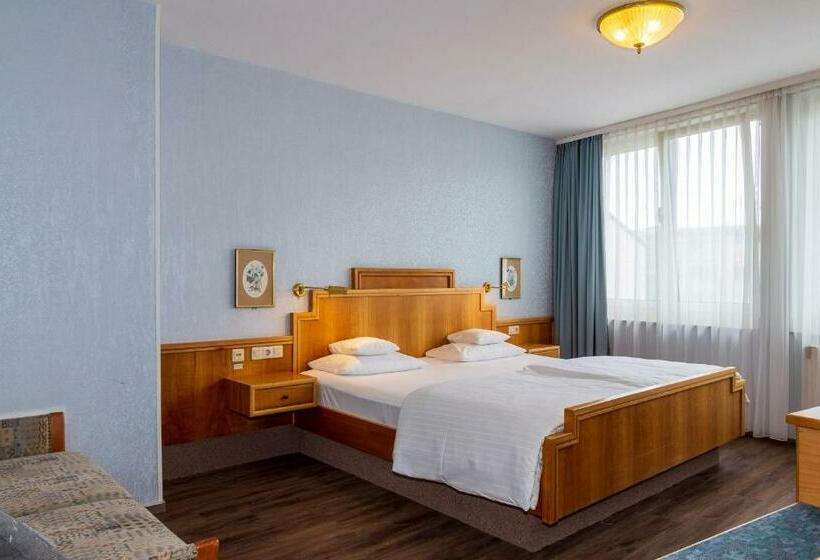 غرفة قياسية, Trip Inn Aschaffenburger Hof