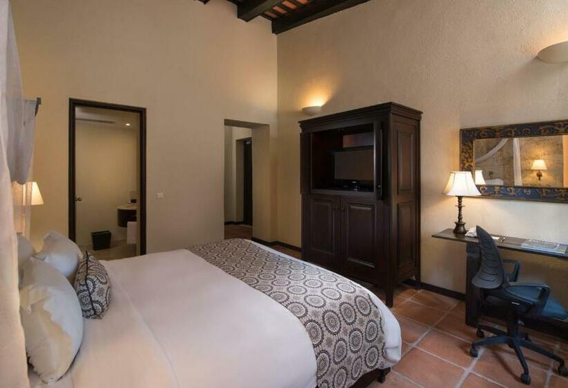 اتاق استاندارد, Hodelpa Nicolas de Ovando