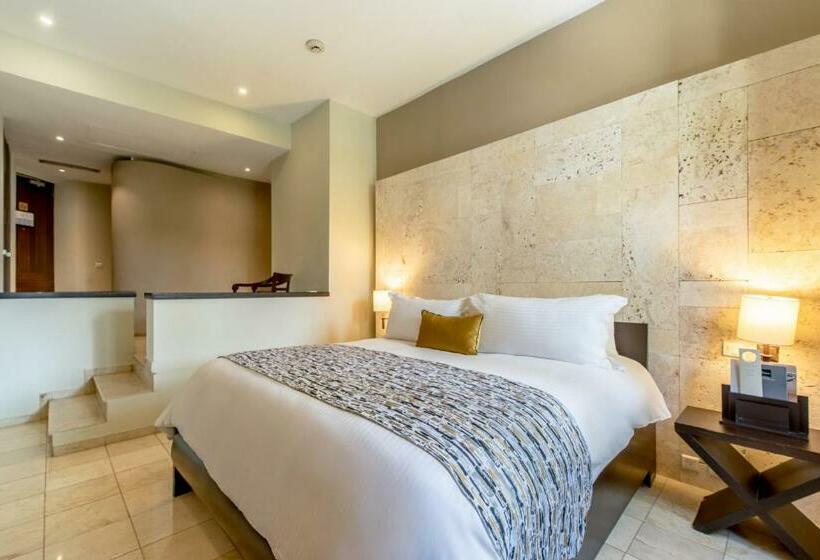 اتاق استاندارد, Hodelpa Nicolas de Ovando