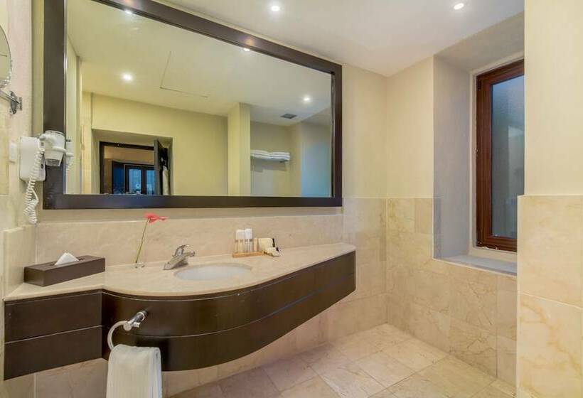 اتاق استاندارد, Hodelpa Nicolas de Ovando