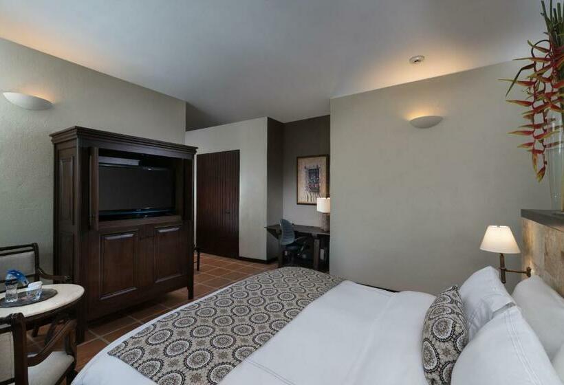 سوییت, Hodelpa Nicolas de Ovando