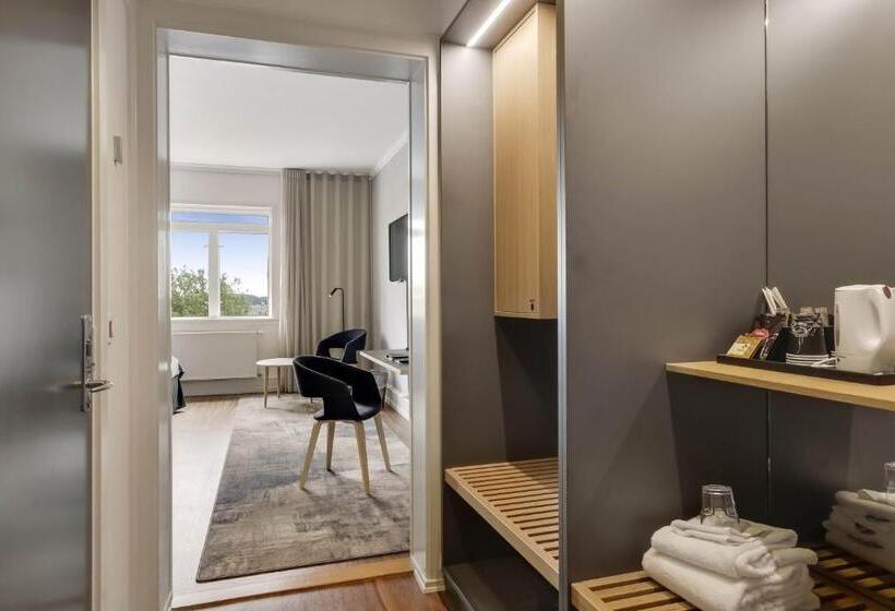 프리미엄 룸 도시 전망, Svendborg