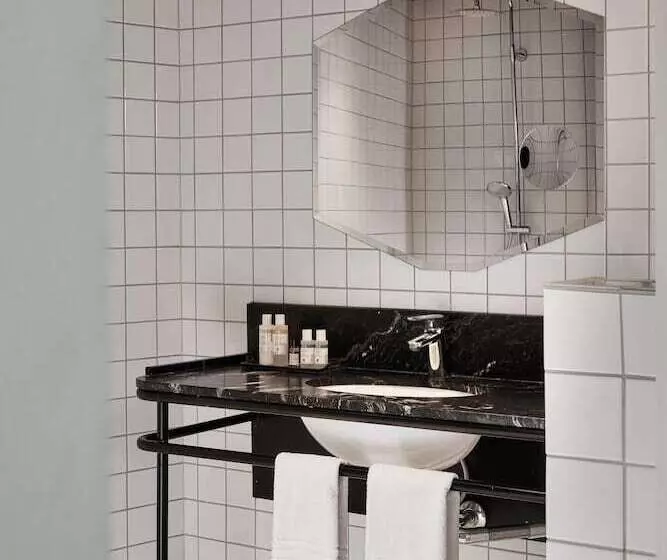 Camera Standard, Danmark