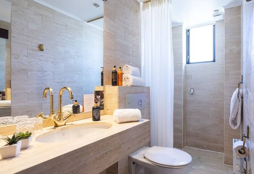 Номер Superior, Park