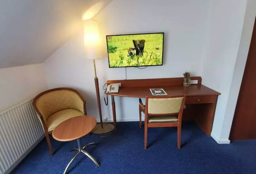Quarto Estandar, Scheelsminde