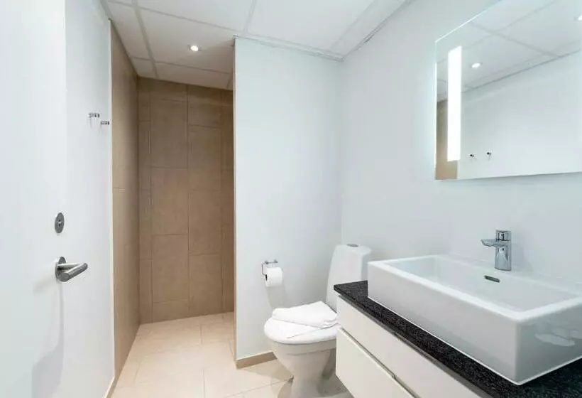 Quarto Estandar, Scheelsminde