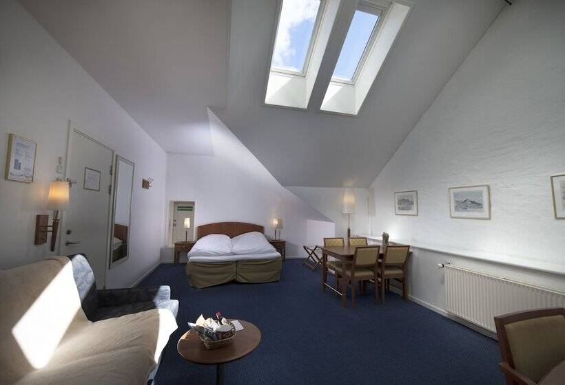 غرفة عائلية, Scheelsminde