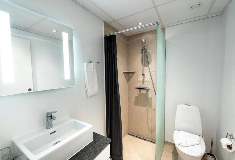 غرفة أساسية, Scheelsminde