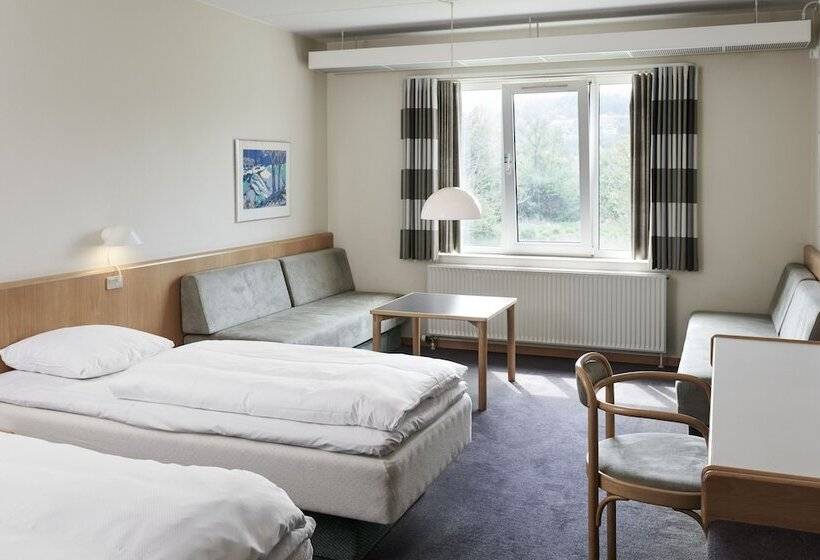 スタンダードトリプルルーム, Vejle Center