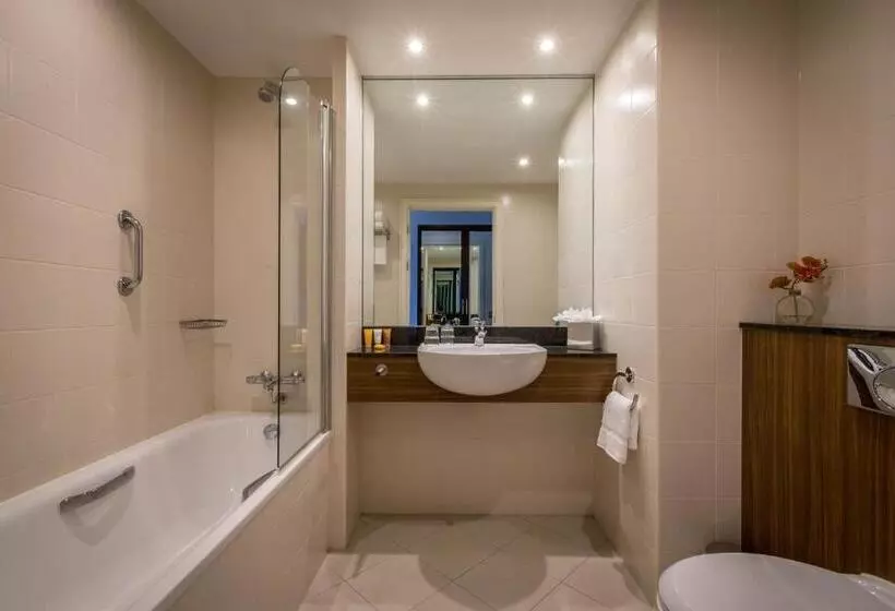 Classic Yhden Hengen Huone, The Killeshin Hotel Portlaoise