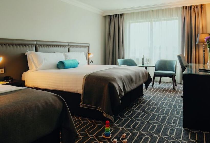 חדר דלוקס, The Killeshin Hotel Portlaoise