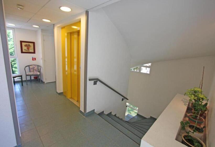 חדר סטנדרט, Beau Rivage