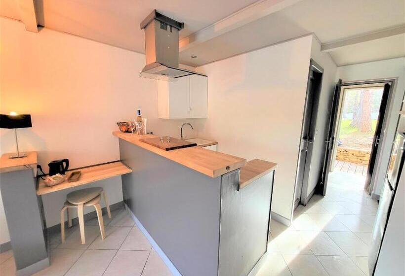 شقة ديلوكس غرفة نوم واحدة, Domaine Du Val De Sault