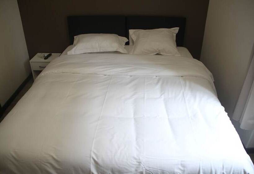 חדר סטנדרט, Hôtel De La Boëtie