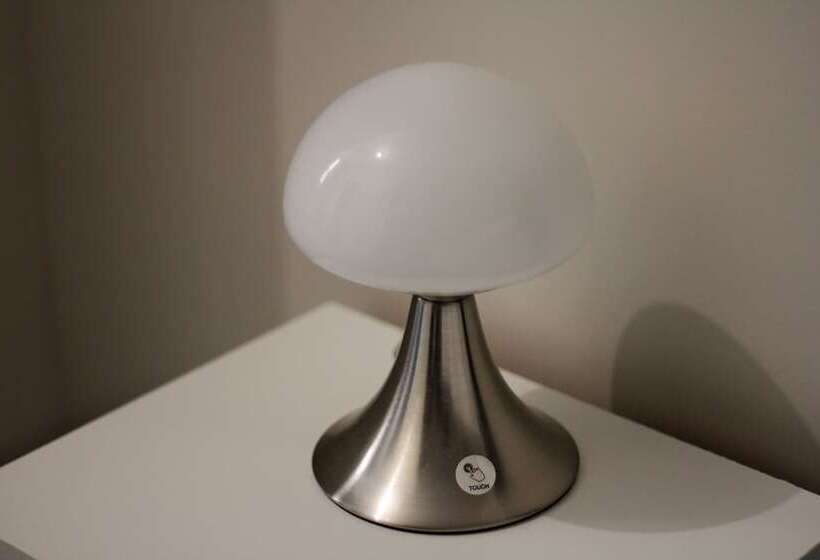 חדר סטנדרט יחיד, Hôtel De La Boëtie