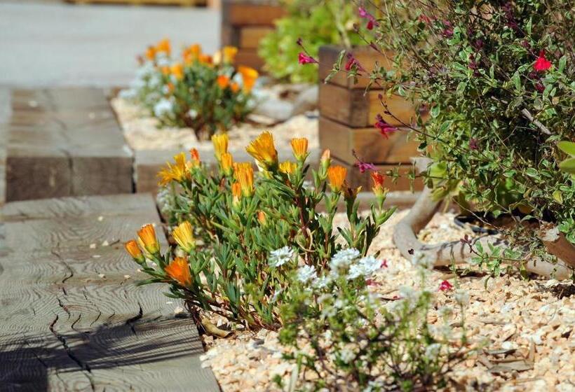 エコノミールーム, Hôtel Les Mimosas