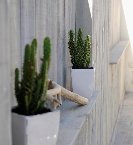 エコノミールーム, Hôtel Les Mimosas