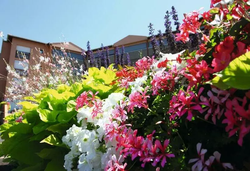 آپارتمان 1 خوابه, Les Terrasses De Borda