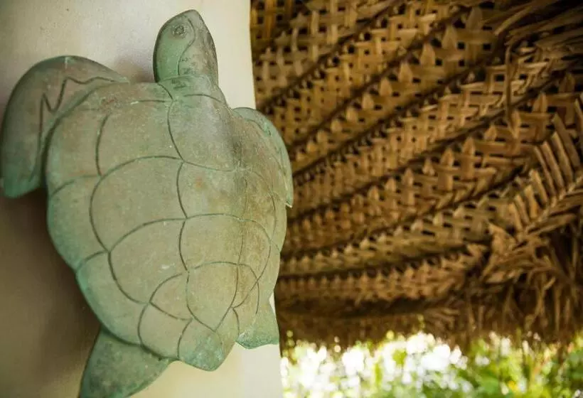 オーシャンビューのスタンダードバンガロー, Castaway Island, Fiji