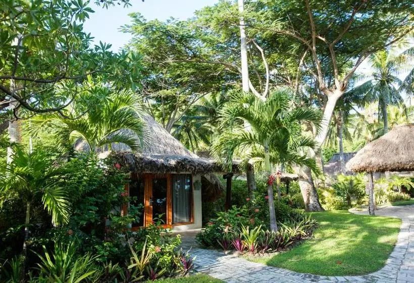 オーシャンビュースタンダードルーム, Castaway Island, Fiji