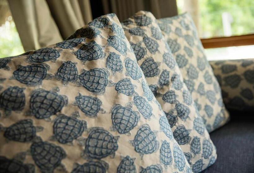 اتاق استاندارد با چشم‌انداز دریا, Castaway Island, Fiji