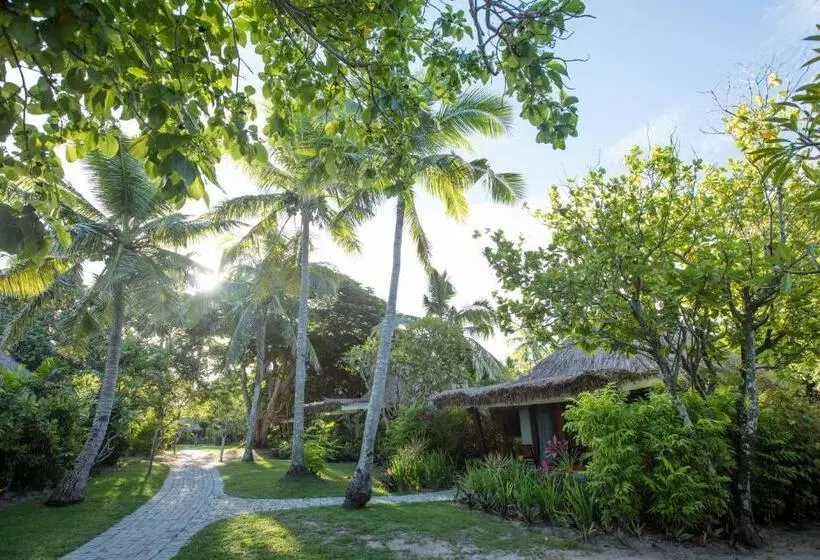 スタンダード４人部屋, Castaway Island, Fiji
