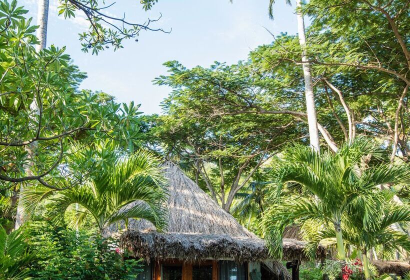 Номер Стандарт, Castaway Island, Fiji