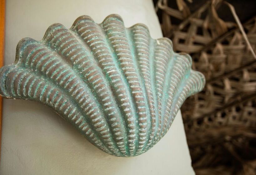 اتاق خانوادگی, Castaway Island, Fiji