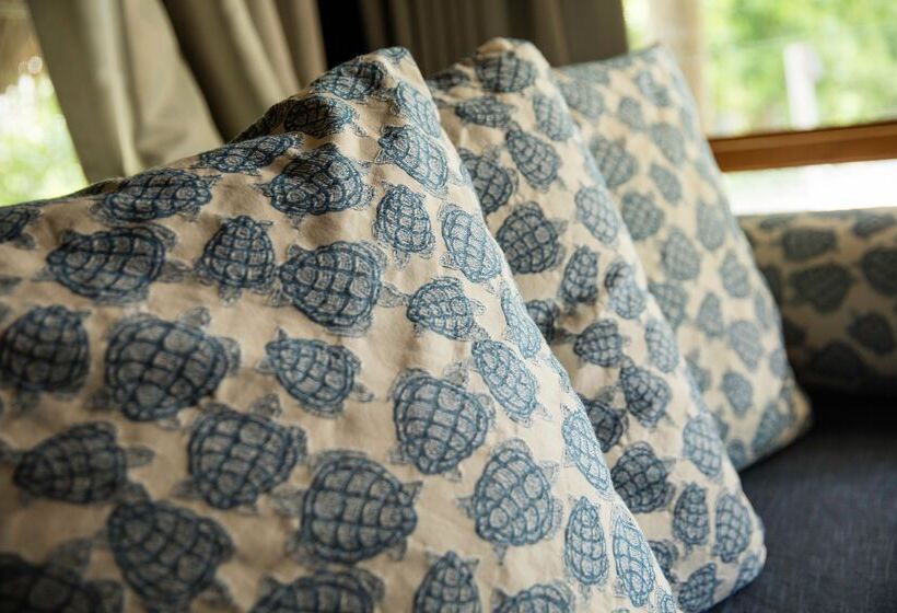 اتاق استاندارد با چشم‌انداز دریا, Castaway Island, Fiji