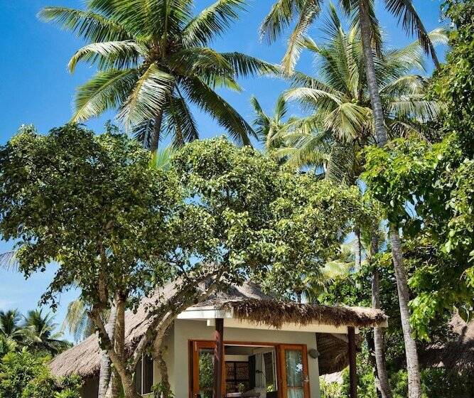 اتاق استاندارد, Castaway Island, Fiji