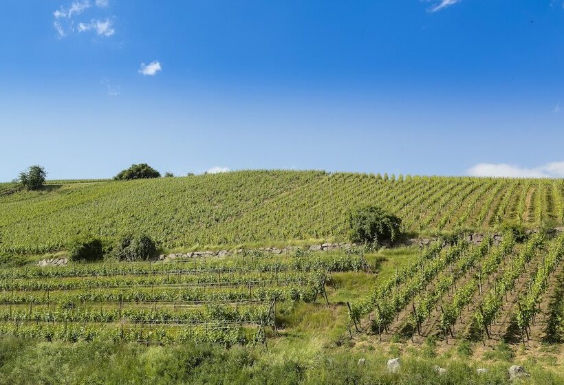 家庭间, Best Western Hotel & Spa Le Schoenenbourg   Riquewihr   Proche Colmar