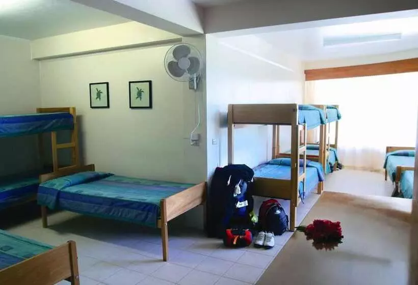 ルームシェアのワンベッド, Nadi Bay Resort