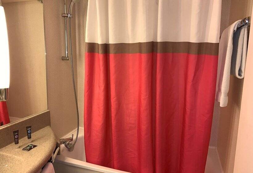 Классический Номер, Novotel Poissy Orgeval