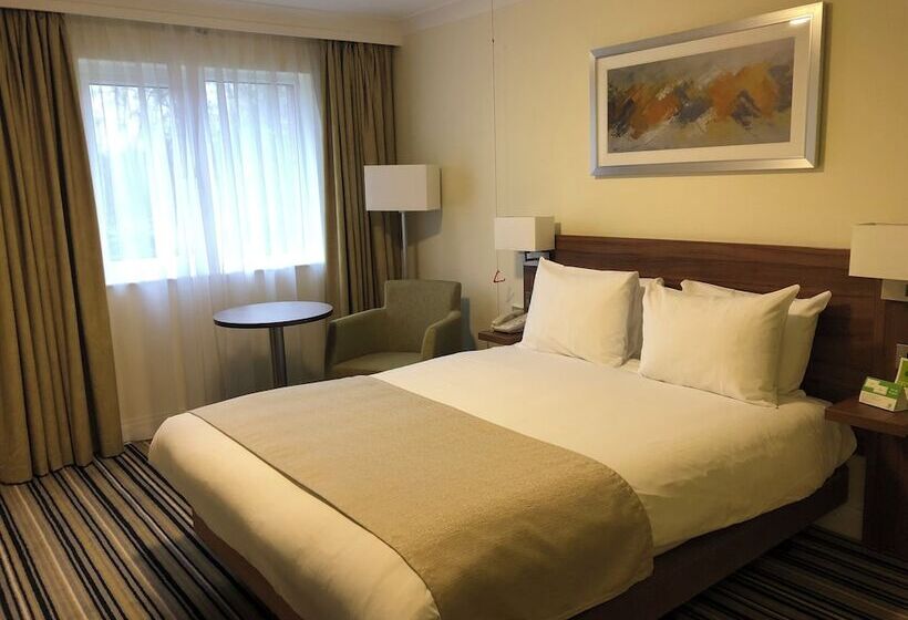 اتاق استاندارد, Holiday Inn Ashford Central, An Ihg
