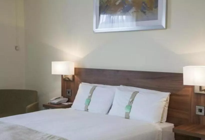身障者適用スタンダードルーム, Holiday Inn Ashford Central, An Ihg