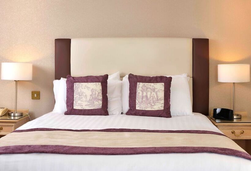 اتاق اکونومی, Royal Beacon