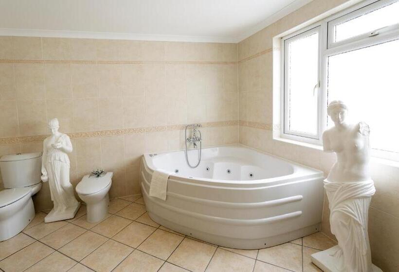 اتاق استاندارد با وان آب گرم, Savoy