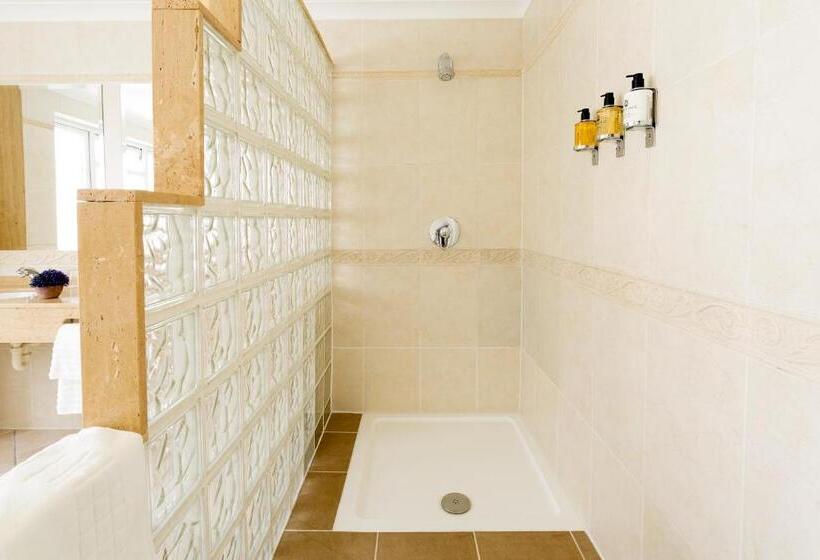 اتاق استاندارد با وان آب گرم, Savoy