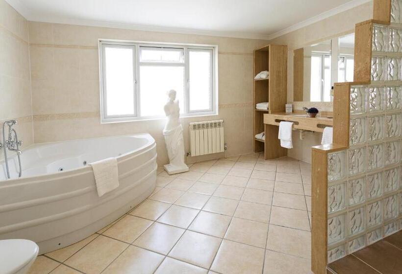 اتاق استاندارد با وان آب گرم, Savoy