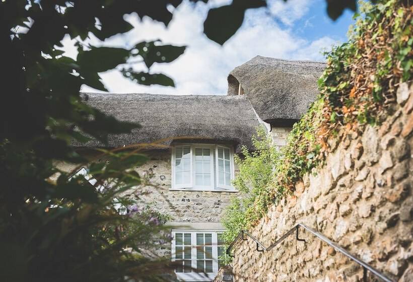 수피리어 룸, The Masons Arms