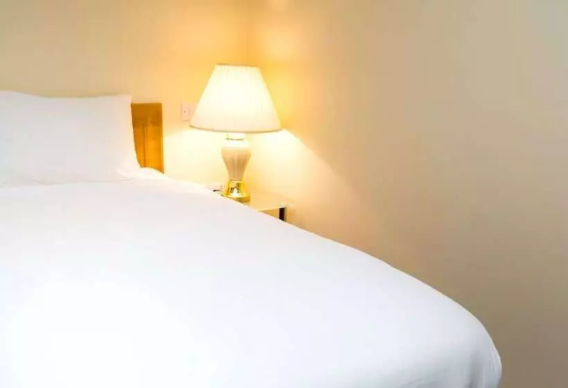 اتاق استاندارد یک نفره, Britannia Hotel City Centre Manchester