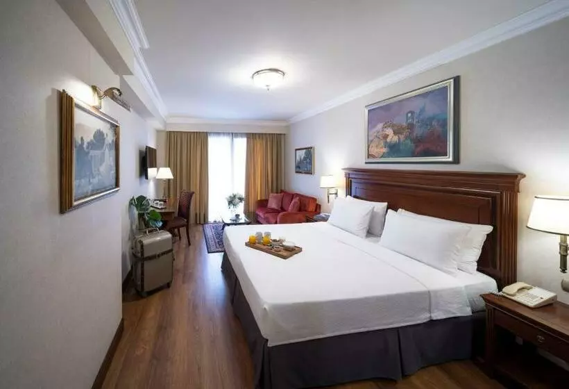 景色の見えるスーペリアルーム, Electra Palace  Athens