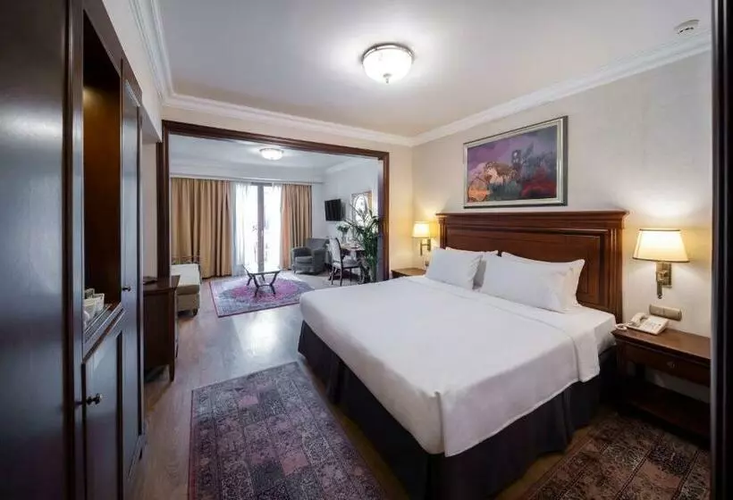 庭の見えるジュニアスイート, Electra Palace  Athens