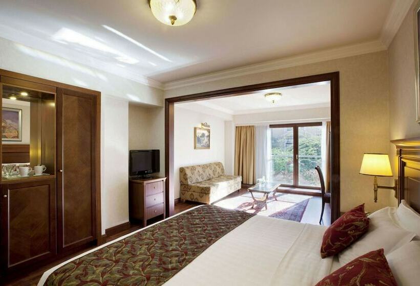 جناح جونيور مطل على الحديقة, Electra Palace  Athens