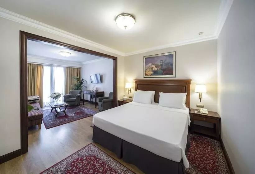 庭の見えるジュニアスイート, Electra Palace  Athens